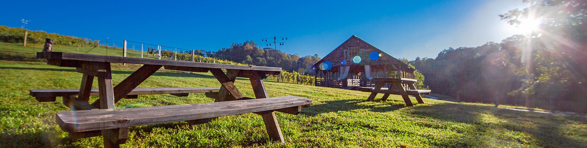 Elkin Creek Vineyards
