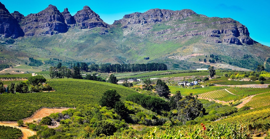 nc-vineyard-mountains-ve